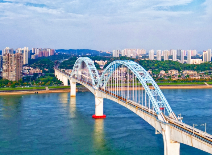 向光而行，花開滿途